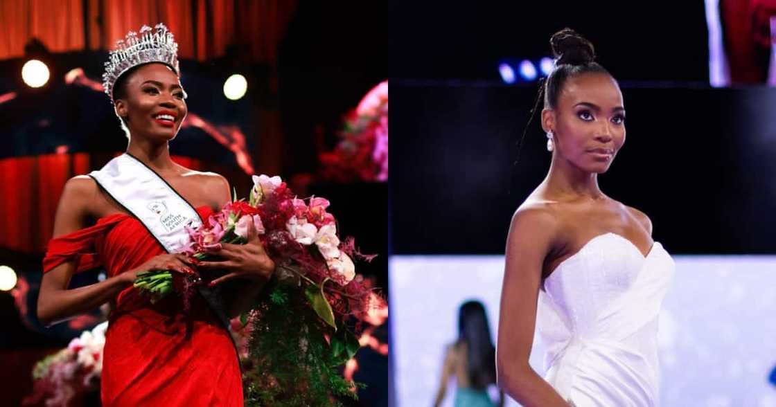 Miss SA, @Official_MissSA, Lalela Mswane, Social media, reactions, celebrity