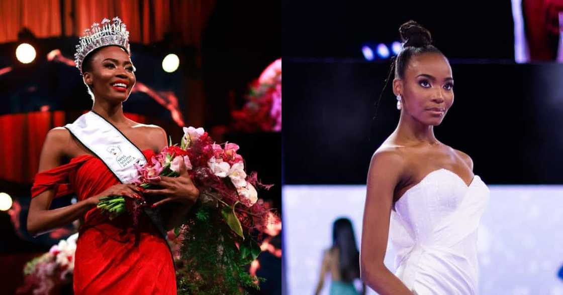 Miss SA, @Official_MissSA, Lalela Mswane, Social media, reactions, celebrity Miss SA, @Official_MissSA, Lalela Mswane, Social media, reactions, celebrity