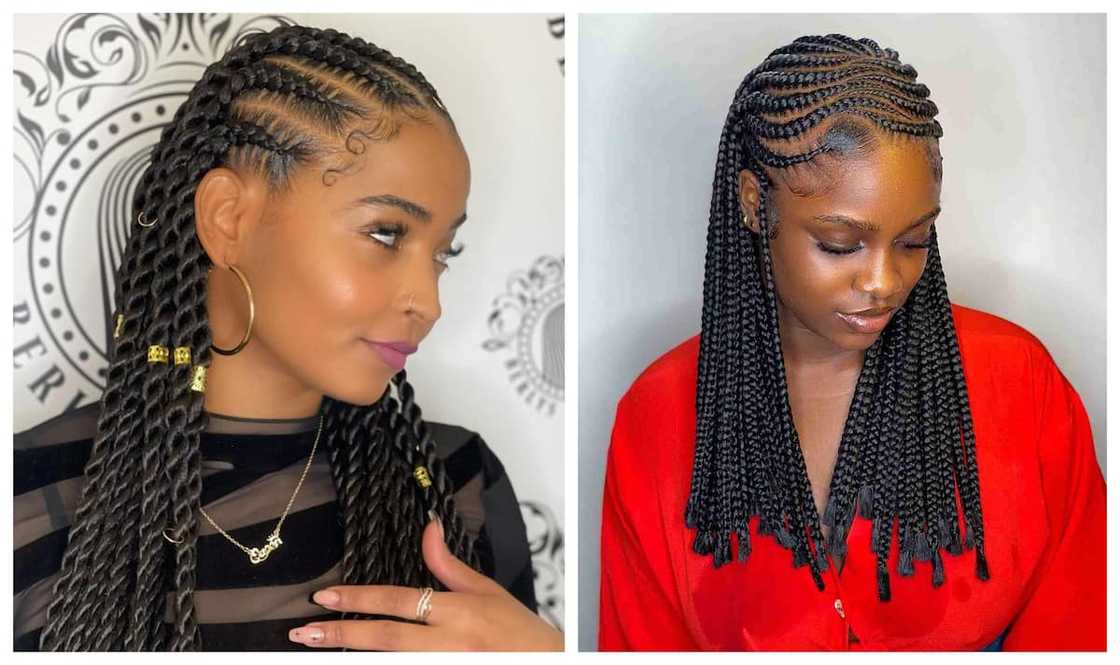 What are Rasta braids?