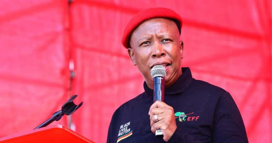 Julius Malema, slams government, Freedom day rally, EFF, Tshwane, political freedom, economic freedom