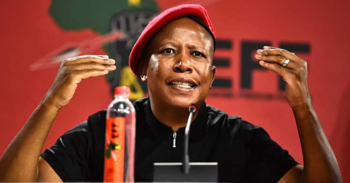 EFF, Coalition, ANC, ActionSA, local government coalitions EFF, Coalition, ANC, ActionSA, local government coalitions