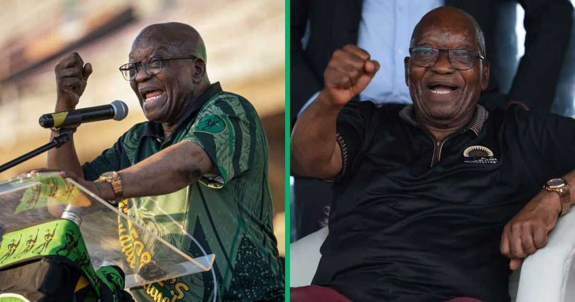 The MKP is not fazed by Jacob Zuma's African National Congress membership The MKP is not fazed by Jacob Zuma's African National Congress membership