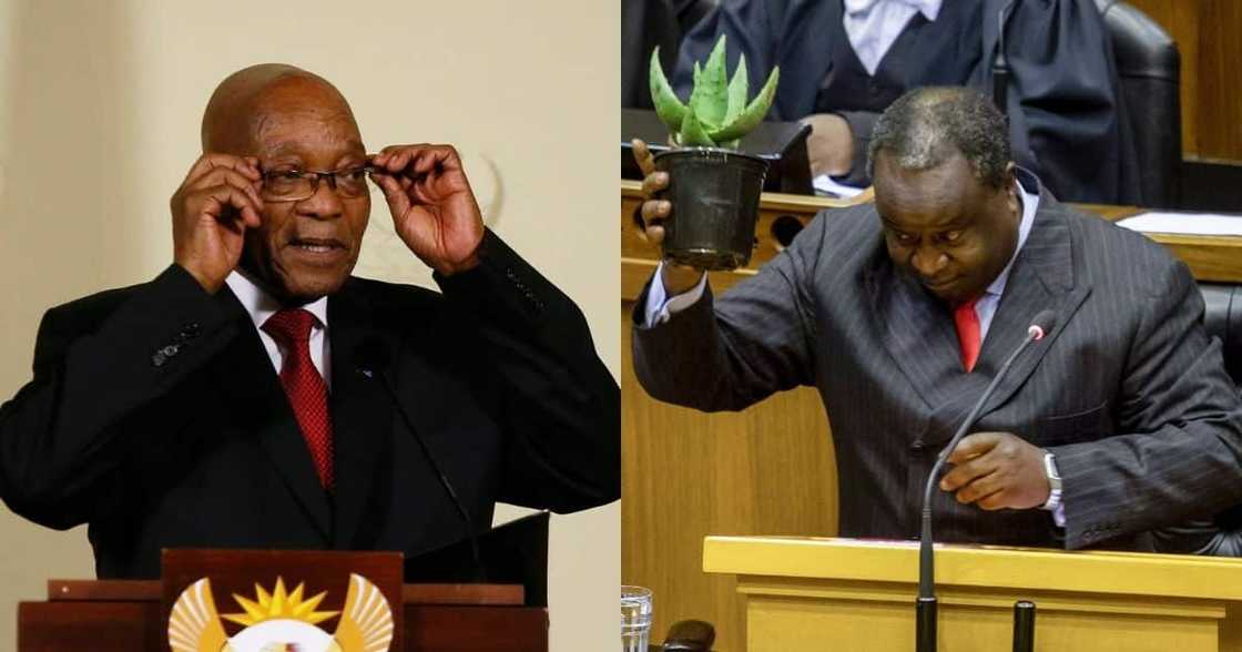 Mzansi, pokes fun, hilarious doctored pic of tea at Zuma’s