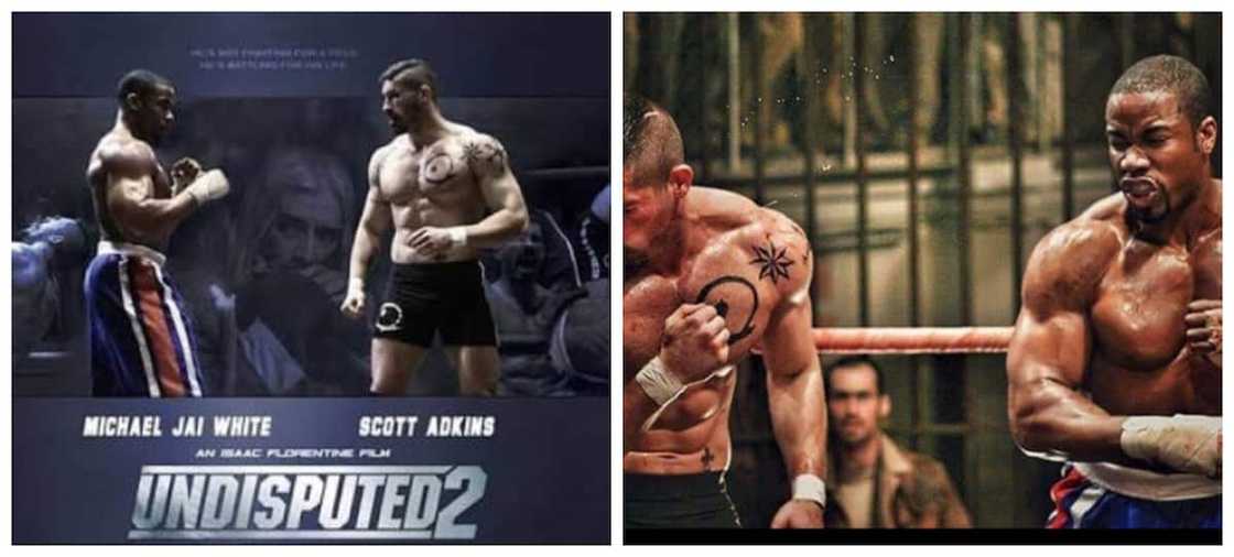 Scott Adkins movies