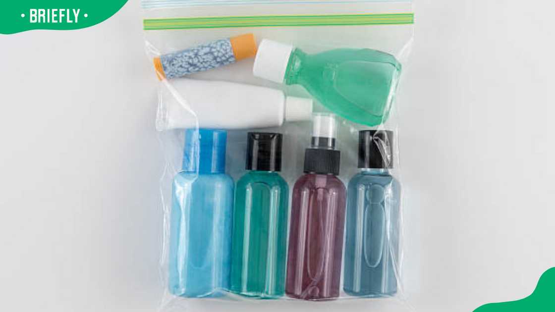 Travel toiletries in Quart bag