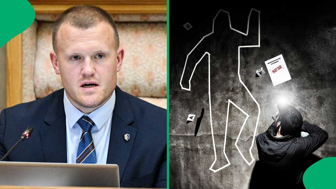 The chairperson of the Portfolio Committee on Police Ian Cameron said that guns were the most preferred weapons to commit crime The chairperson of the Portfolio Committee on Police Ian Cameron said that guns were the most preferred weapons to commit crime