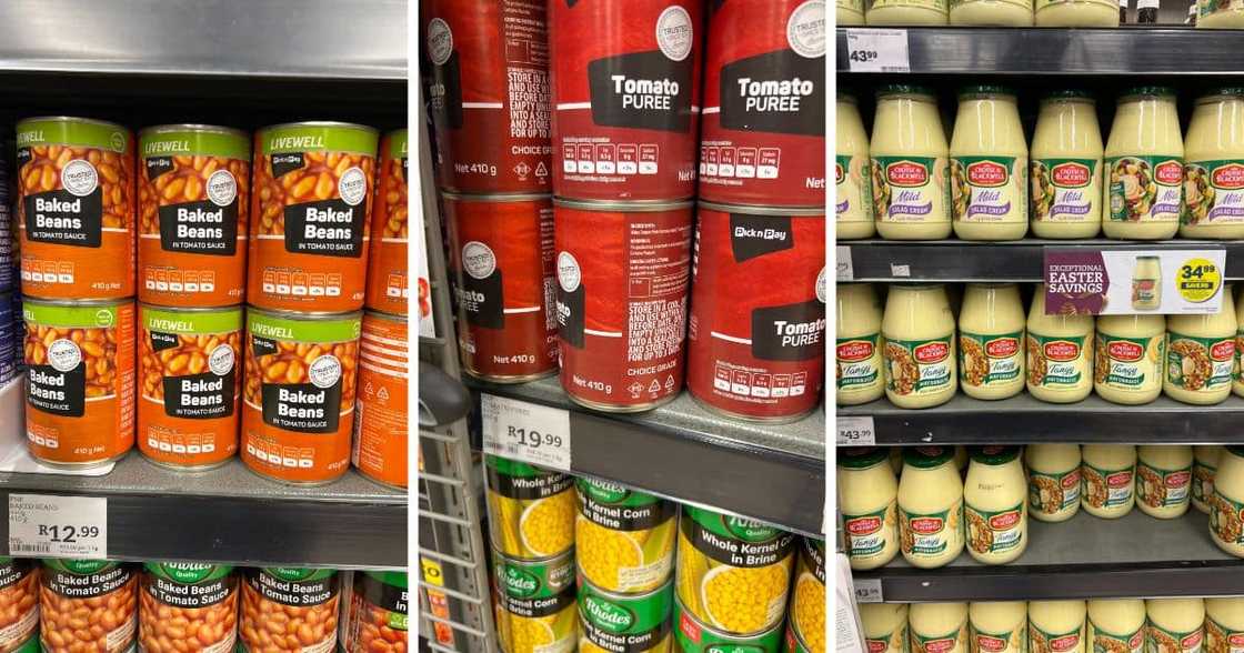 Mayo, beans, tomato puree, pick 'n pay, prices