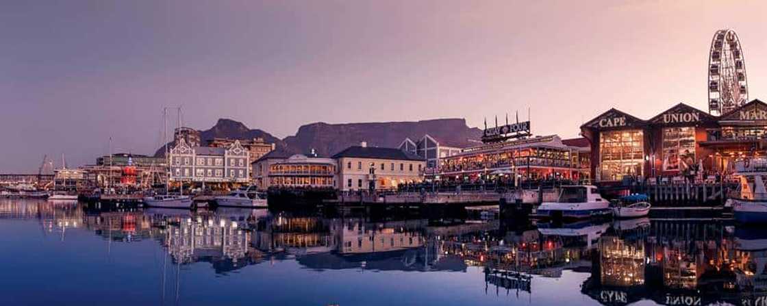 best restaurants in cape town with a view best restaurants in cape town with a view