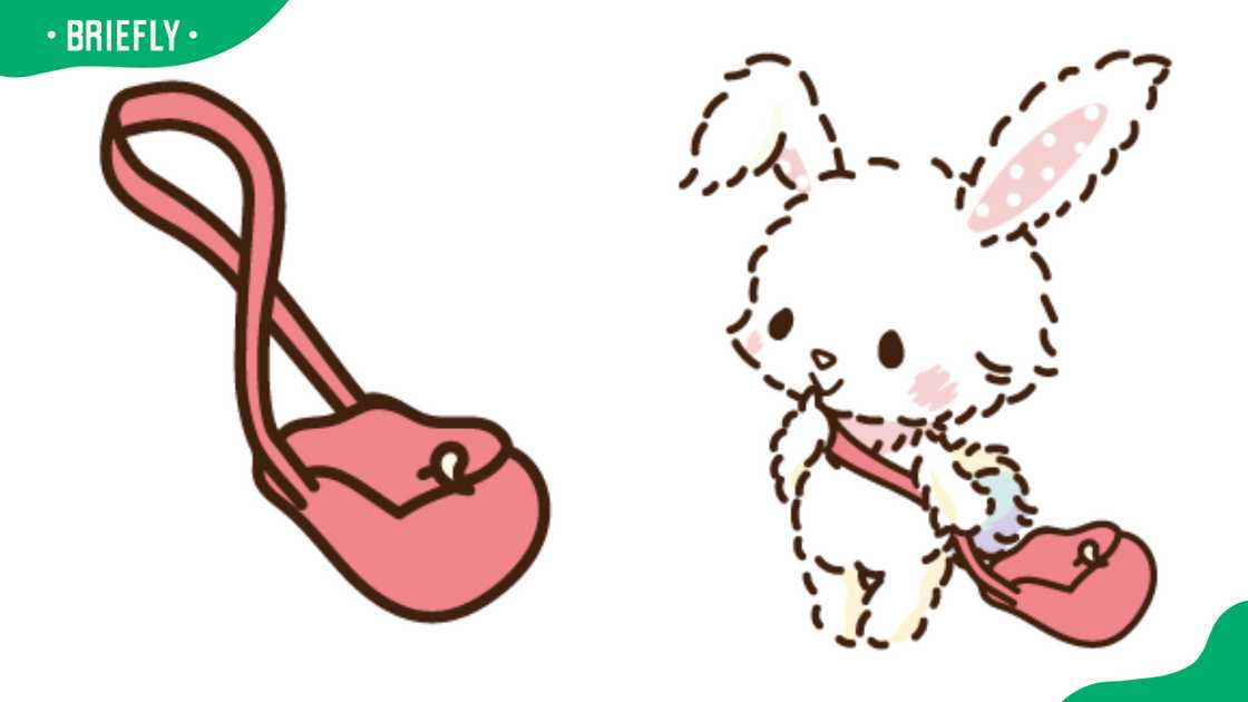 Wish Me Mell holding a stylish pink bag Wish Me Mell holding a stylish pink bag