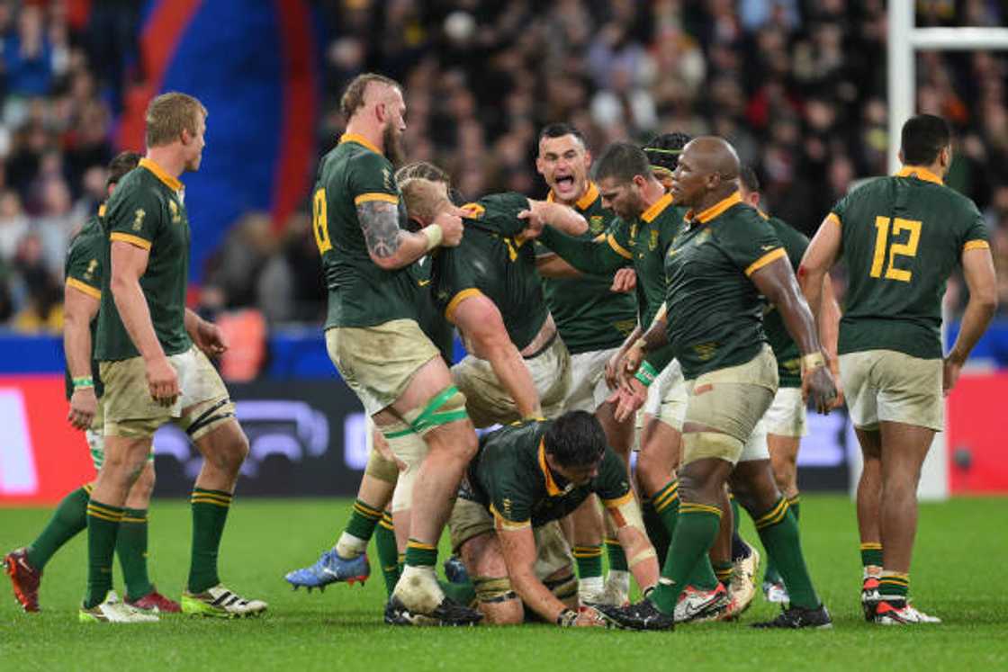 Coach Rassie Erasmus is committed to bringing in new talent to build depth ahead of the 2027 World Cup. Coach Rassie Erasmus is committed to bringing in new talent to build depth ahead of the 2027 World Cup.