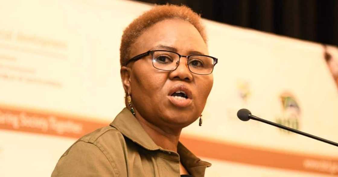 Lindiwe Zulu, on Zimbawean Exemption Permit, countries must look after own citizens Lindiwe Zulu, on Zimbawean Exemption Permit, countries must look after own citizens