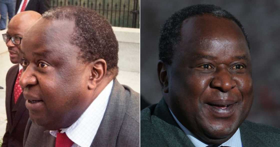 Tito Mboweni, Unemployment, Funny, Twitter reactions