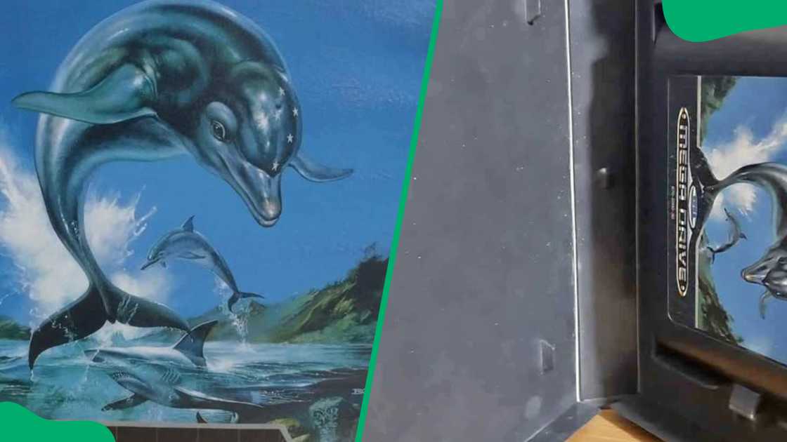 Ecco the Dolphin Ecco the Dolphin