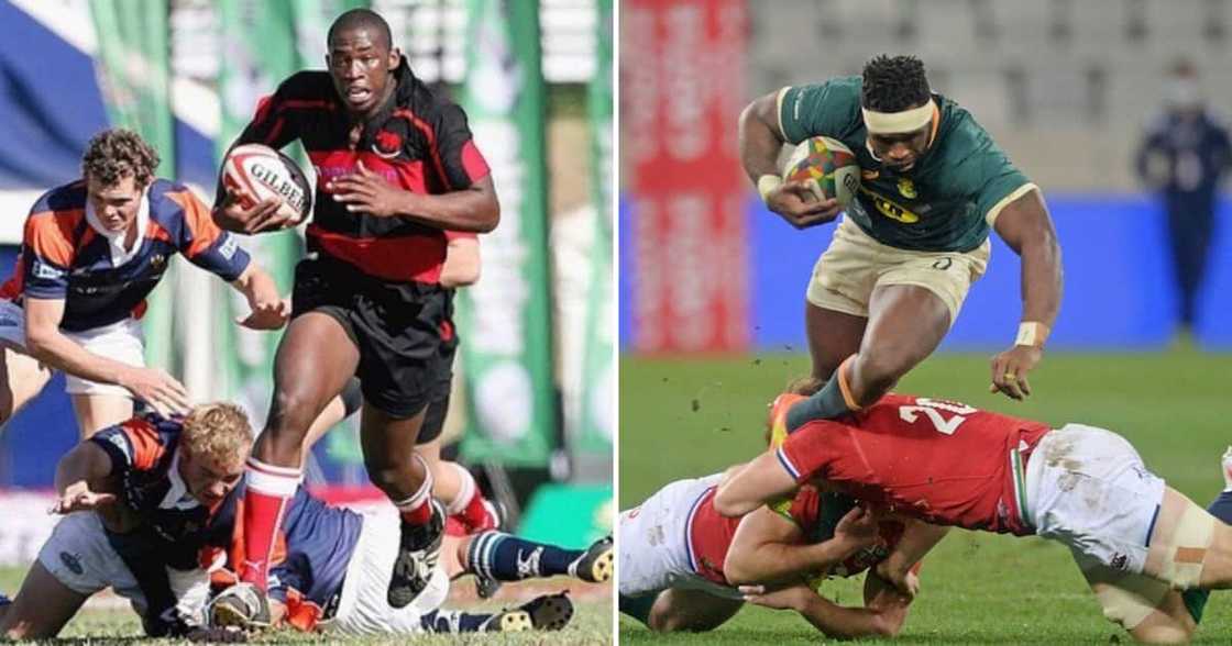 Siya Kolisi, Grey Boys Highs School, reactions, video Siya Kolisi, Grey Boys Highs School, reactions, video