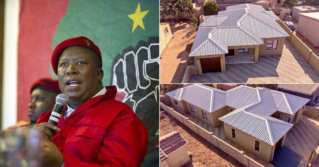 Julius Malema, Gogo's, Homes, Women's Day, Twitter reactions