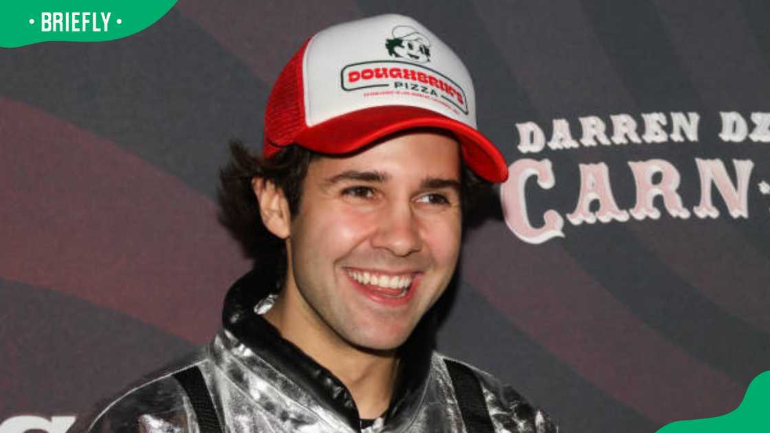 David Dobrik at the Halloween Party David Dobrik at the Halloween Party
