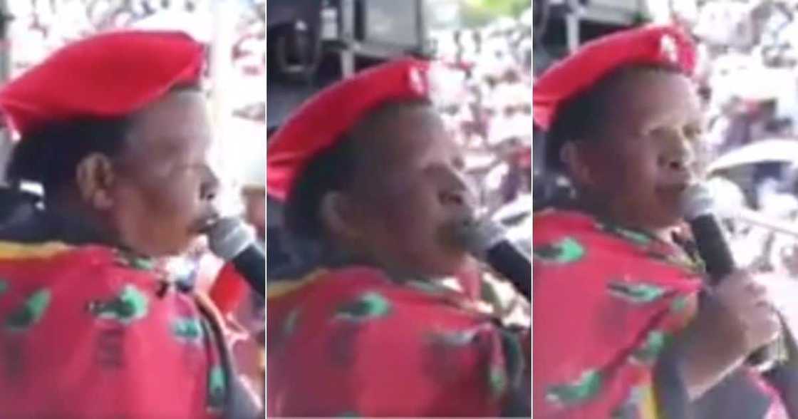 Mzansi Laughs, Embarrassed, Female EFF Supporter, Who Shouted, "Viva ANC"