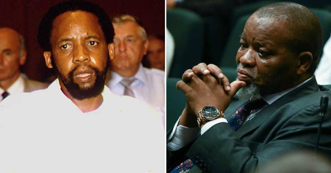 A woman said Gwede Mantashe should have been assassinated like Chris Hani A woman said Gwede Mantashe should have been assassinated like Chris Hani