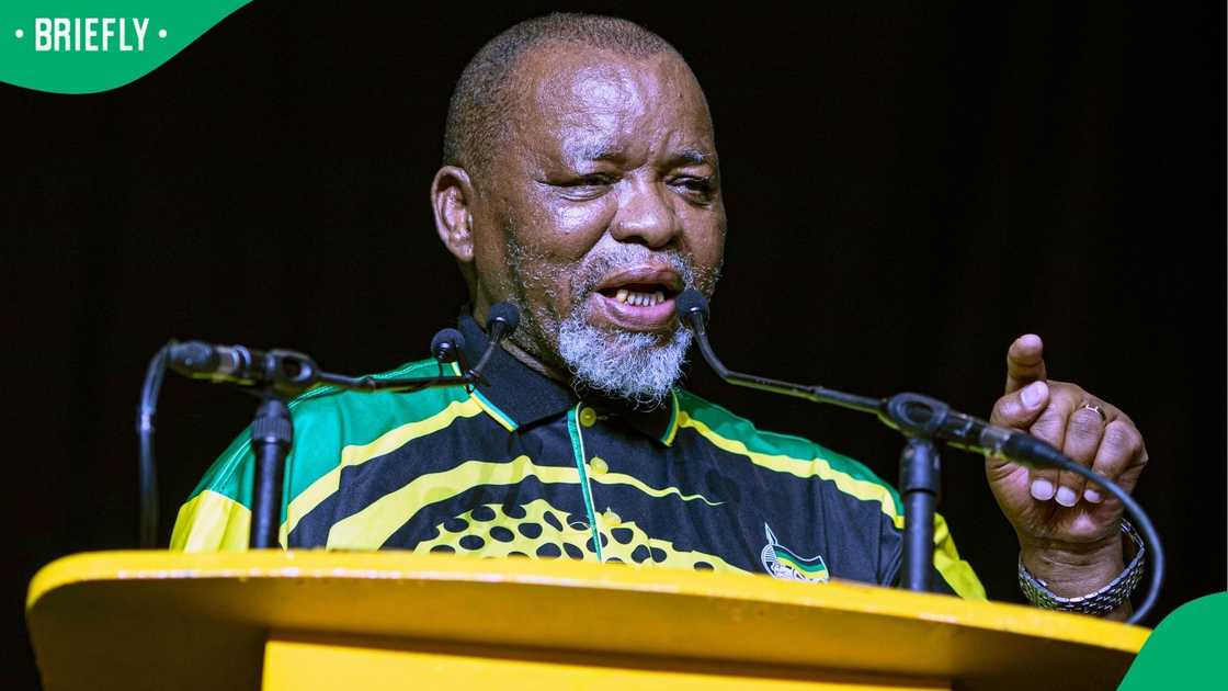 Sihle Lonzi took issue with Gwede Mantashe's recent comments Sihle Lonzi took issue with Gwede Mantashe's recent comments