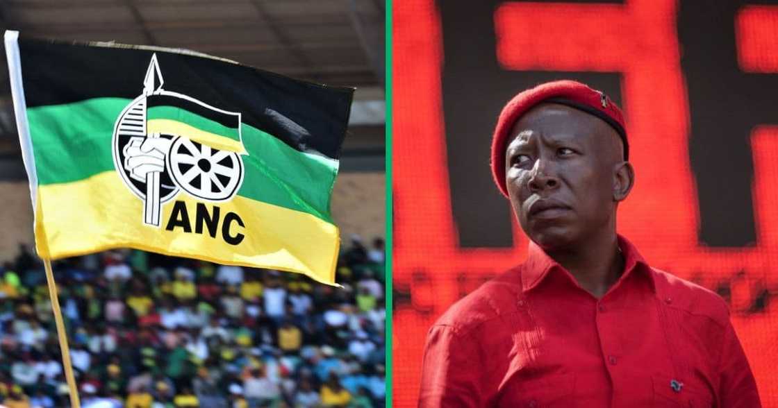 EFF leader Julius Malema says he is "fine" with being excluded from Brics dinner EFF leader Julius Malema says he is "fine" with being excluded from Brics dinner