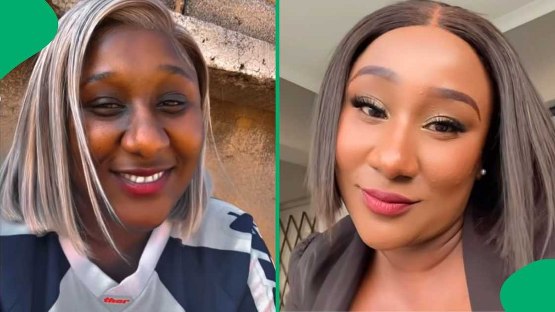 Video of monkeys stealing food and Hennessy goes viral on TikTok. Video of monkeys stealing food and Hennessy goes viral on TikTok.