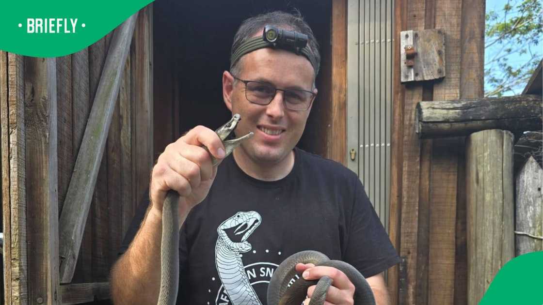 South Africa's snakes are more than just a garden scare South Africa's snakes are more than just a garden scare