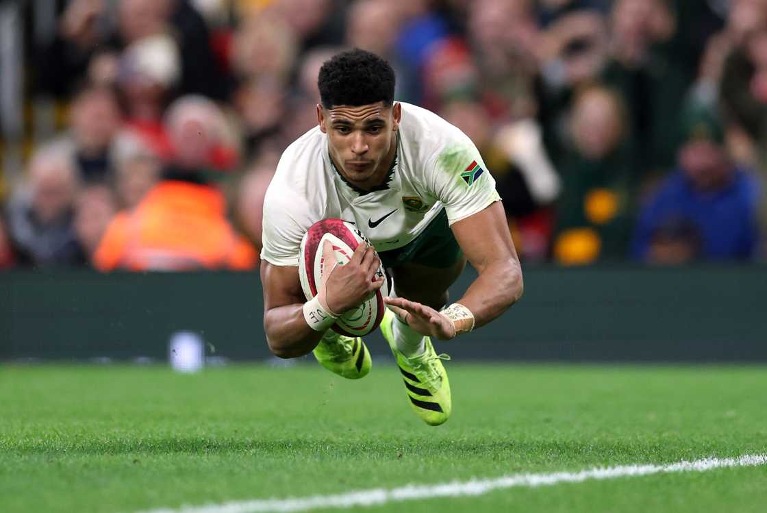 Springboks, Sacha Feinberg Mngomezulu, Quilter Nations Series 2025, Wales, South Africa