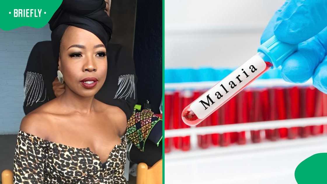 Ntsiki Mazwai warned SA about Malaria.