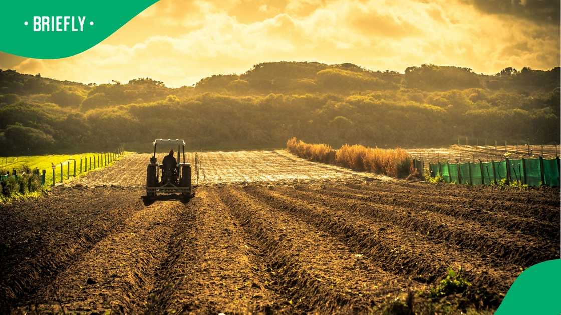 Governments, too, would stand to benefit, using aggregated data for more accurate policy planning, resource allocation, and climate adaptation strategies. Governments, too, would stand to benefit, using aggregated data for more accurate policy planning, resource allocation, and climate adaptation strategies.