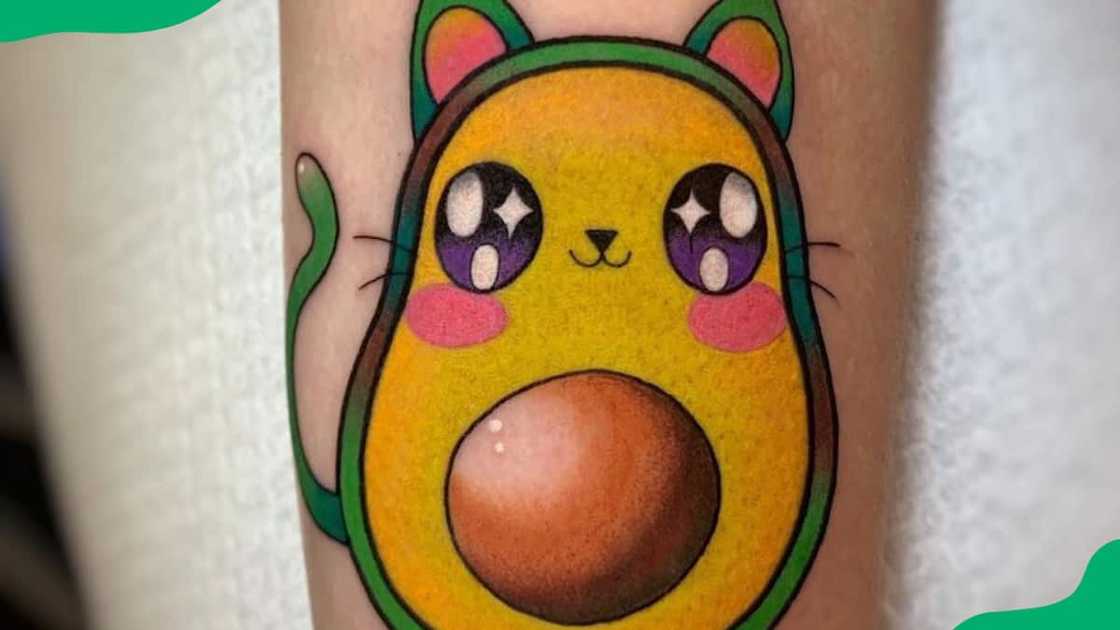 Avocado cat Avocado cat