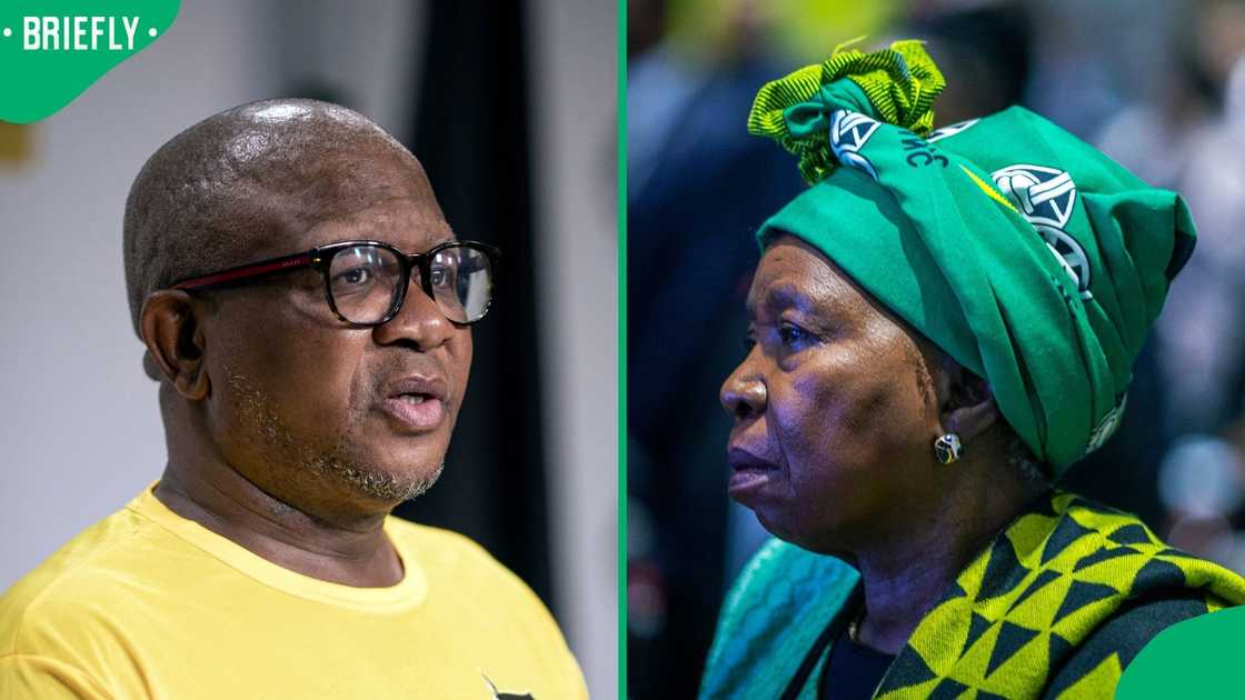 Fikile Mbalula has warned that legal action could follow after Nkosazana Dlamini-Zuma's allegations