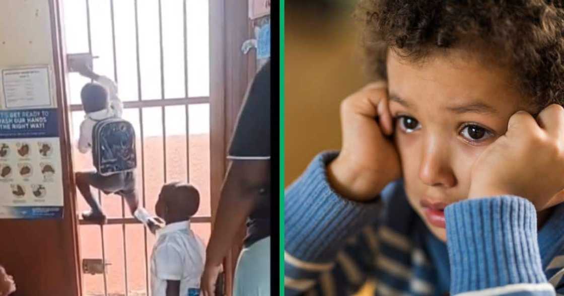 A young boy was unhappy on his first school day and tried to escape. A young boy was unhappy on his first school day and tried to escape.