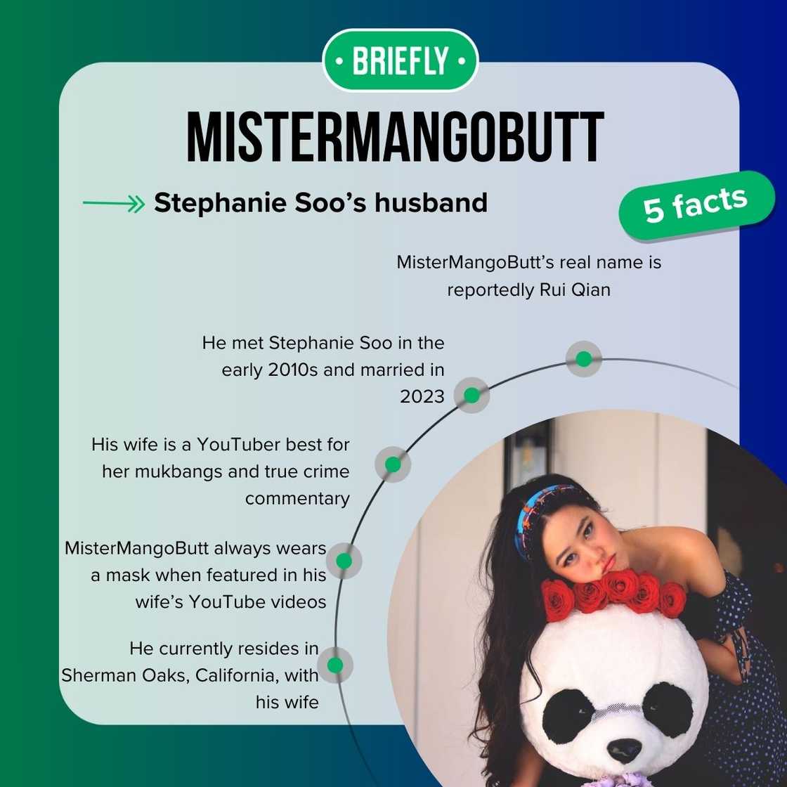 MisterMangoButt’s facts