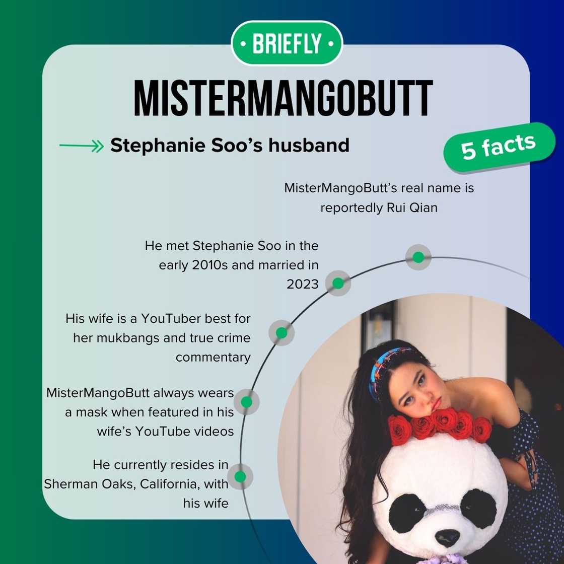 MisterMangoButt’s facts MisterMangoButt’s facts