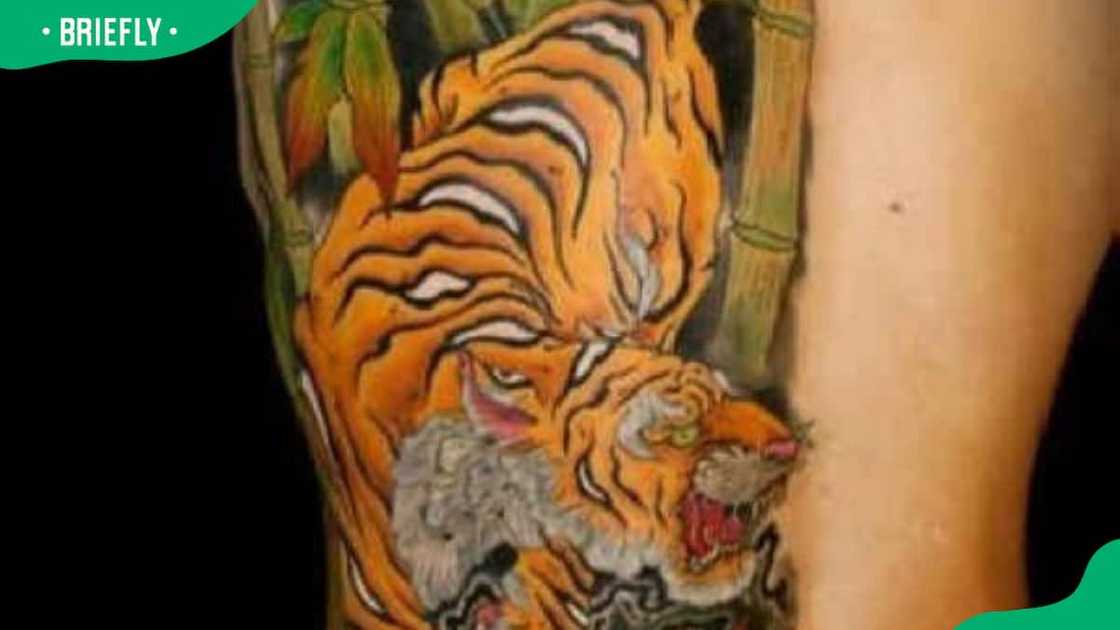 Japanese tiger and bamboo tattoo design Japanese tiger and bamboo tattoo design