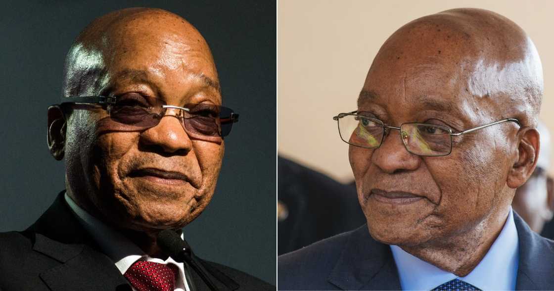 Former President Jacob Zuma, trends online, social media, supporters