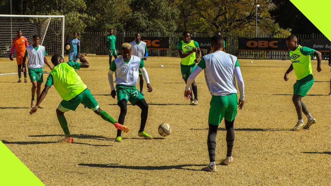 Marumo Gallants have made a surprising announcement. Marumo Gallants have made a surprising announcement.