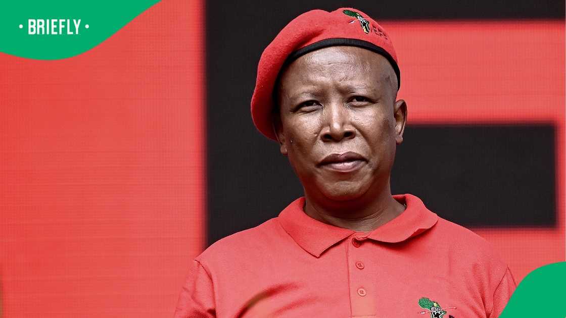Sentencing proceedings in Malema’s firearms case are scheduled to begin in January