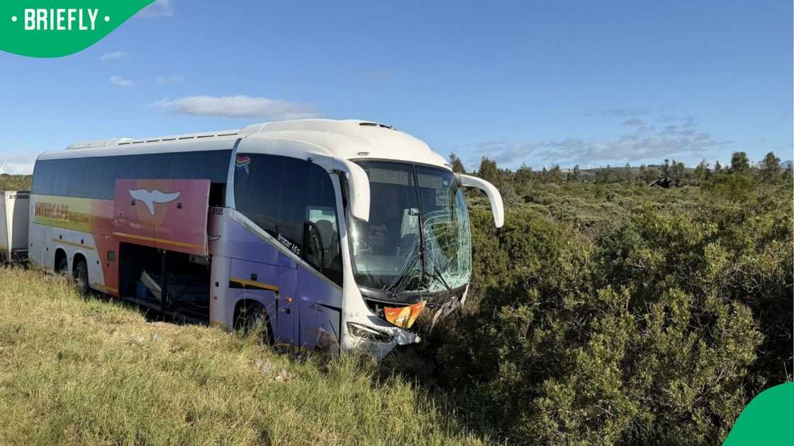 No passengers were injured in the bus No passengers were injured in the bus