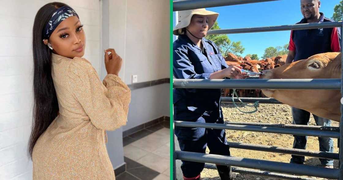 woman working in agriculture