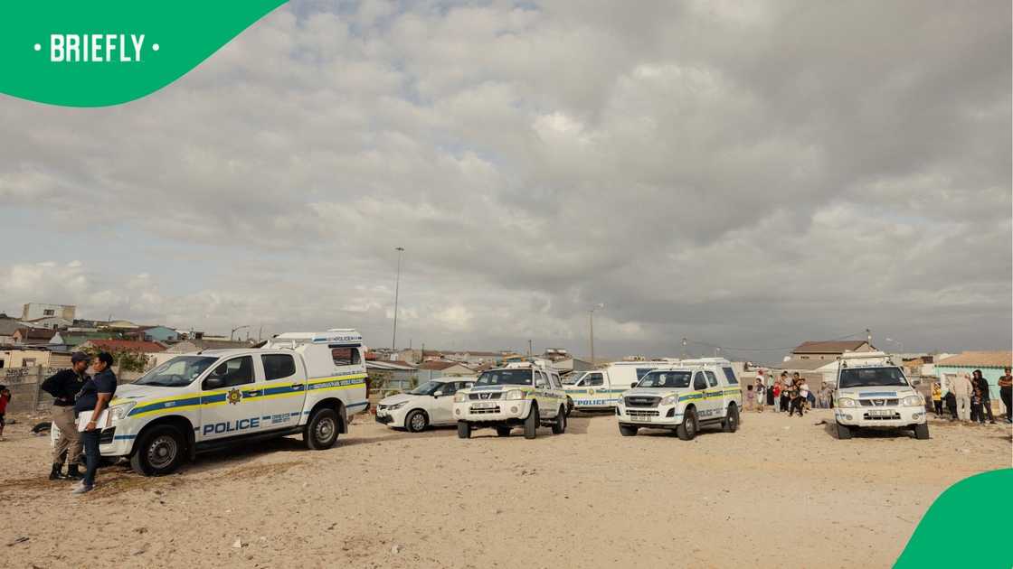 Investigators from the provincial serious violent crime unit took over the case. Investigators from the provincial serious violent crime unit took over the case.