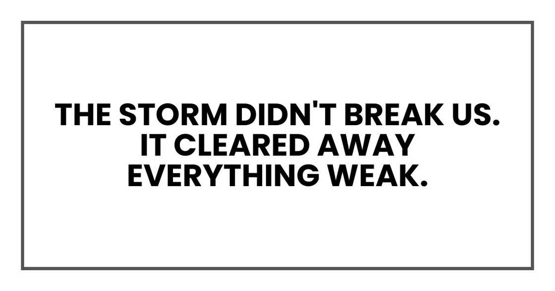 The storm didn't break us. It cleared away everything weak.