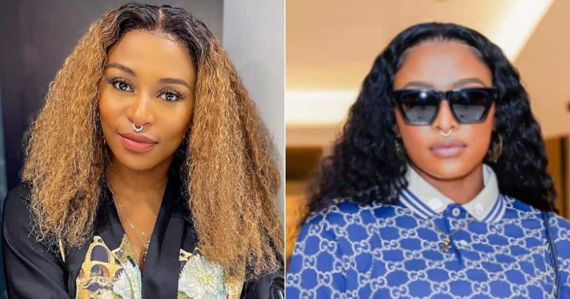 DJ Zinhle, era by DJ Zinhle, boulevard nectar rose, business woman DJ Zinhle, era by DJ Zinhle, boulevard nectar rose, business woman