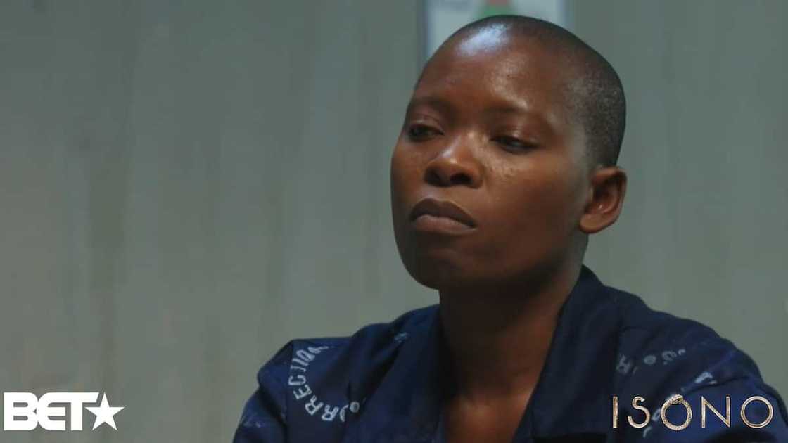 Isono Teasers Isono Teasers