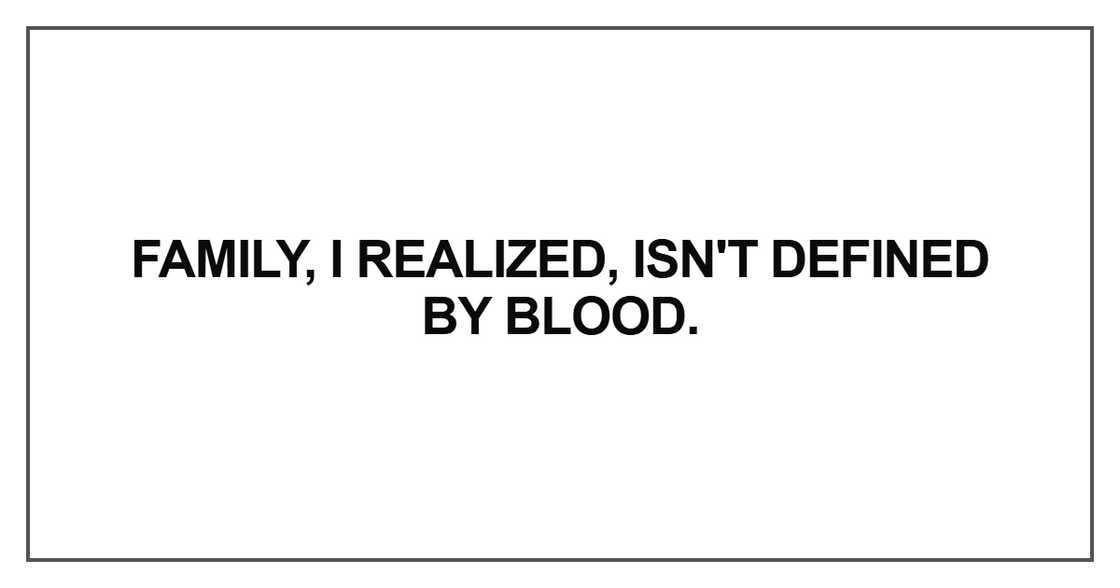 Family, I realized, isn't defined by blood