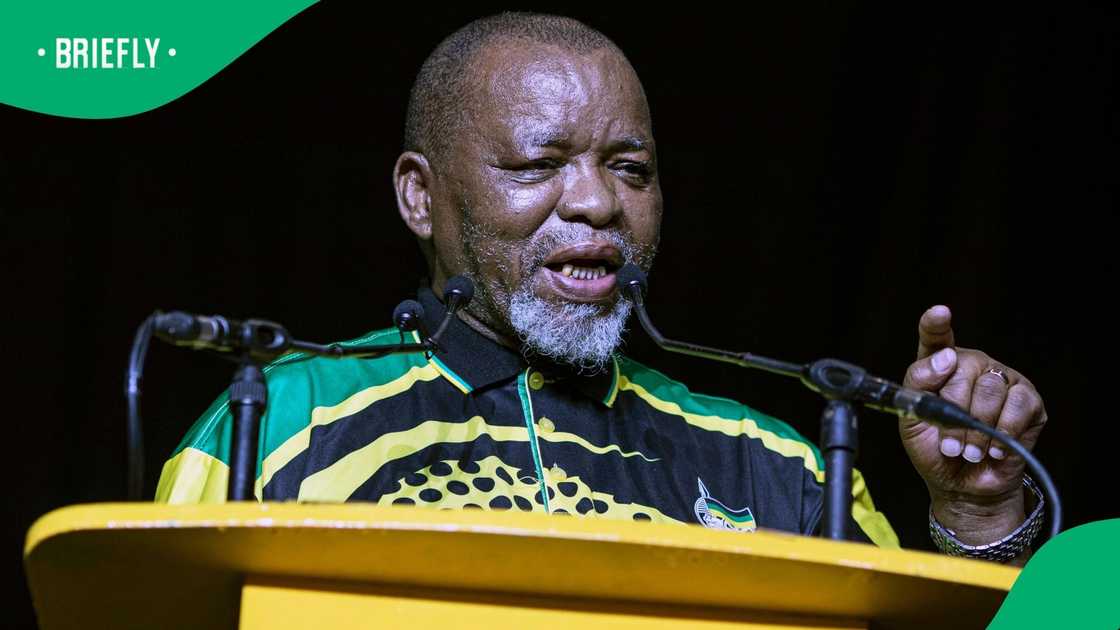 South Africans slammed Gwede Mantashe for his statements about unemployment
