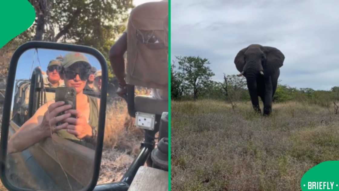The elephant on the right was approaching the safari car The elephant on the right was approaching the safari car