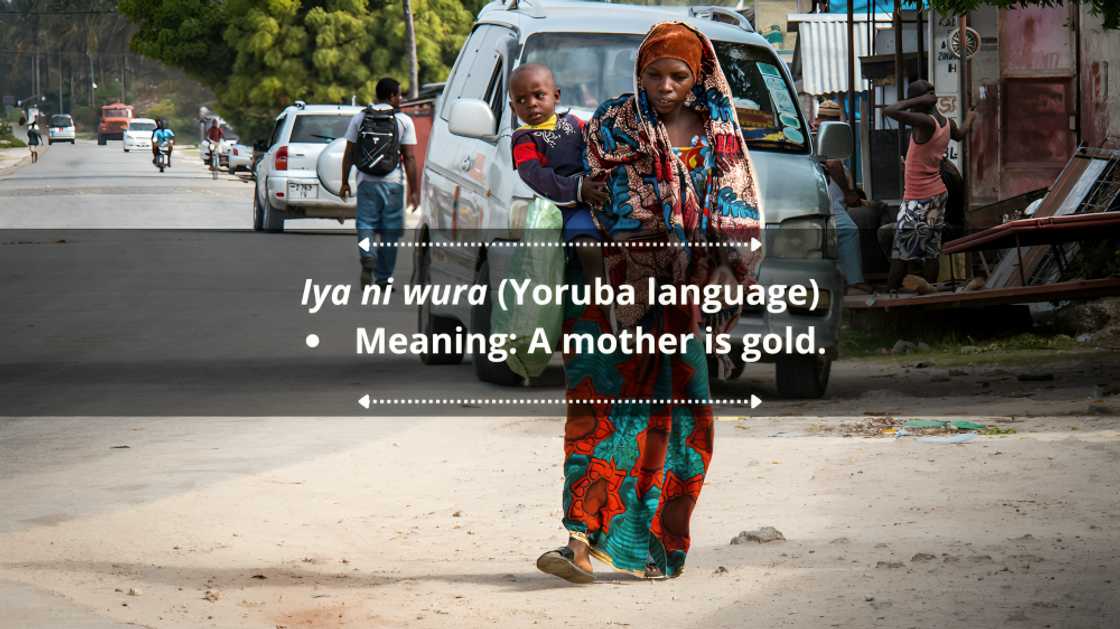 Zulu proverbs and quotes