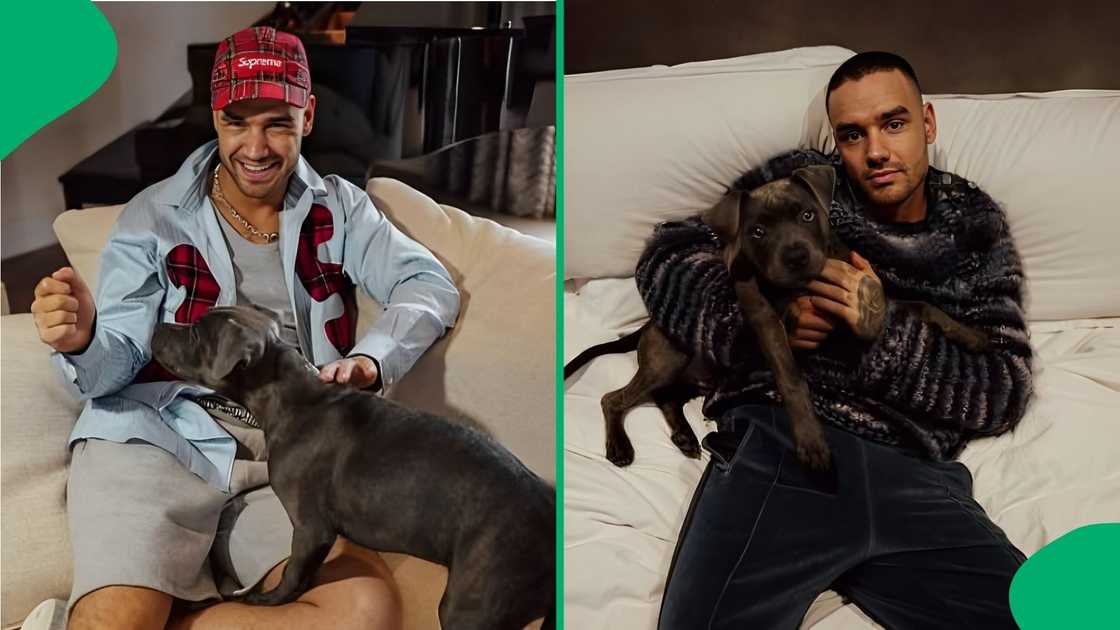 Ex 'One Direction' member Liam Payne's tragic death sent ripple around world Ex 'One Direction' member Liam Payne's tragic death sent ripple around world