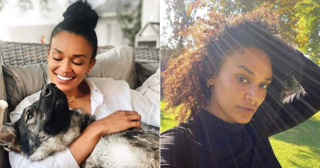 Pearl Thusi, government, corruption, pandemic, disappointed Pearl Thusi, government, corruption, pandemic, disappointed